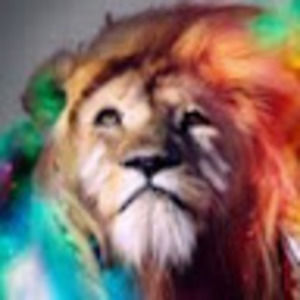 Meet your Posher, Bryce